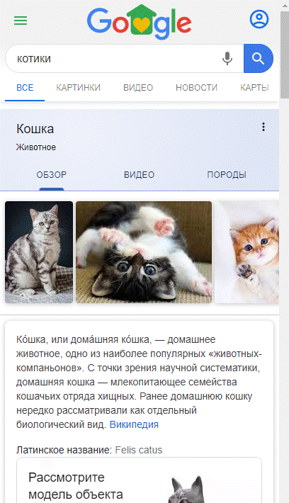 cat1